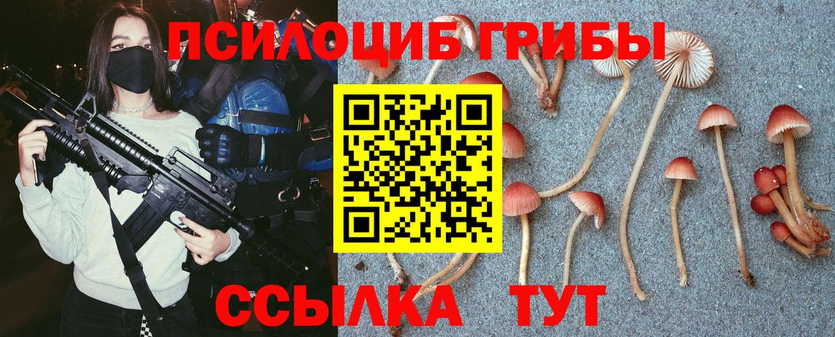 Галлюциногенные грибы мухоморы Приморско-Ахтарск